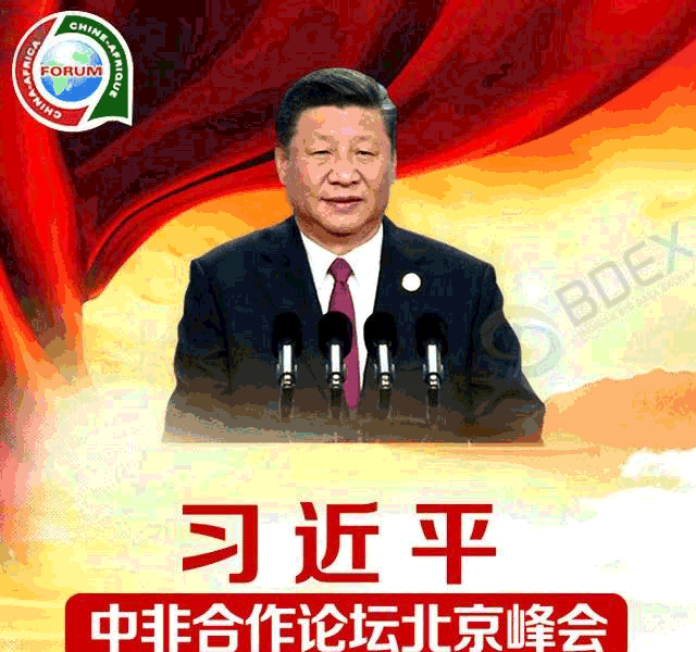 131539qffeeow7ovognzhi_01.png