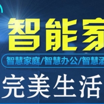 全屋智能2020第十三届（南京）国际智能家居展览会