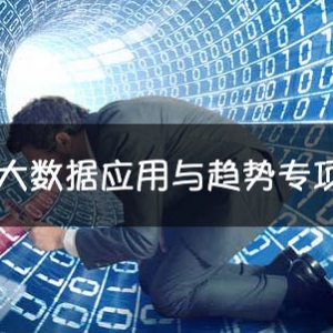 2013年中国大数据应用与趋势专项调查