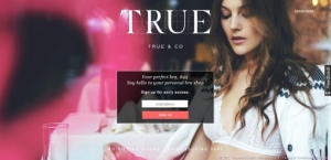 True&Co，用大数据做胸罩电商