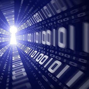 Radware发布2014年五大网络安全预测