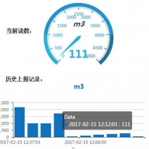 聚焦民生，中兴NB-IoT智能表计助力智慧城市建设