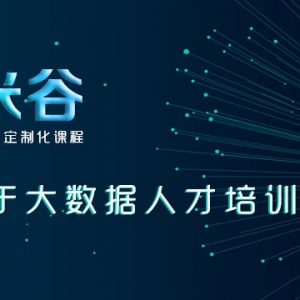 加米谷大数据科技有限公司