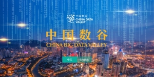 中国数谷网站正式上线 贵阳发出打造“中国数谷”最强音