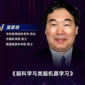 CCAI 演讲回顾 | 蒲慕明：脑科学与类脑机器学习