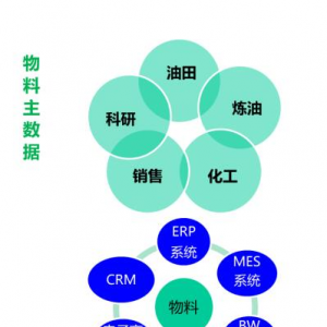 某大型石化企业百万量级的物料与工程材料主数据融合实践
