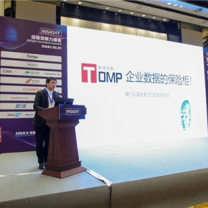 神州数码TDMP数据脱敏系统，护航保险行业数据安全