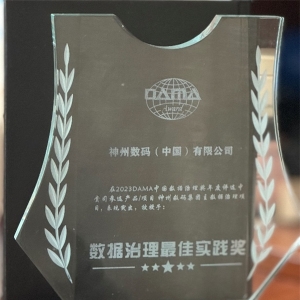深耕主数据治理，神州数码获DAMA中国“数据治理最佳实践奖”